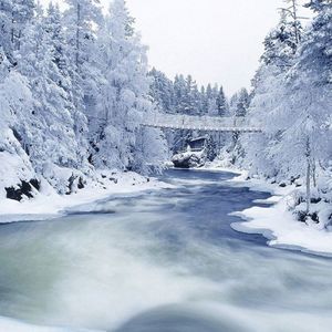 Meet your Posher, Mason